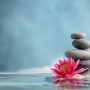 Journey to Wellness